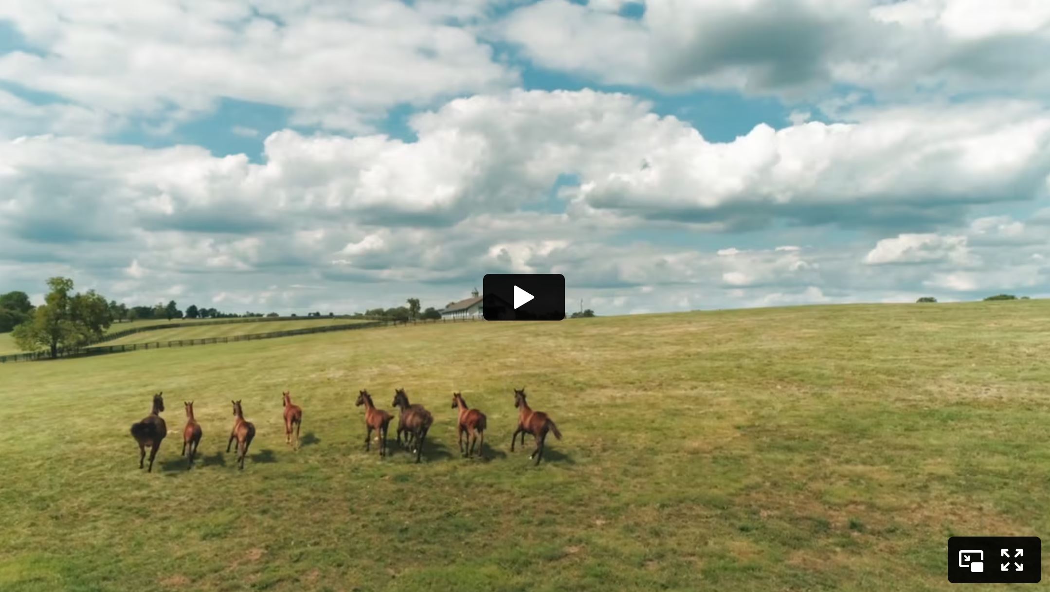 Kentucky: From the Land